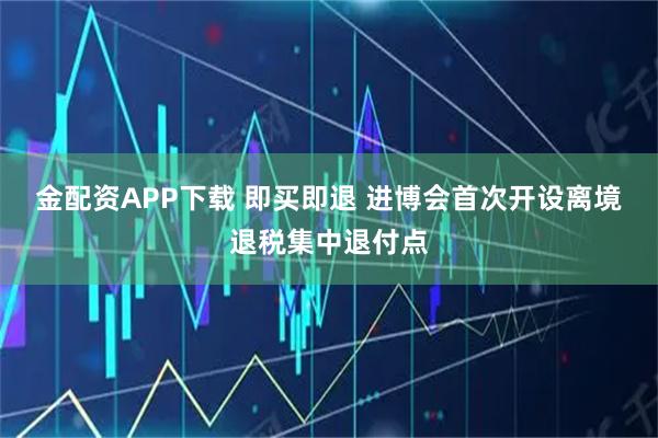 金配资APP下载 即买即退 进博会首次开设离境退税集中退付点